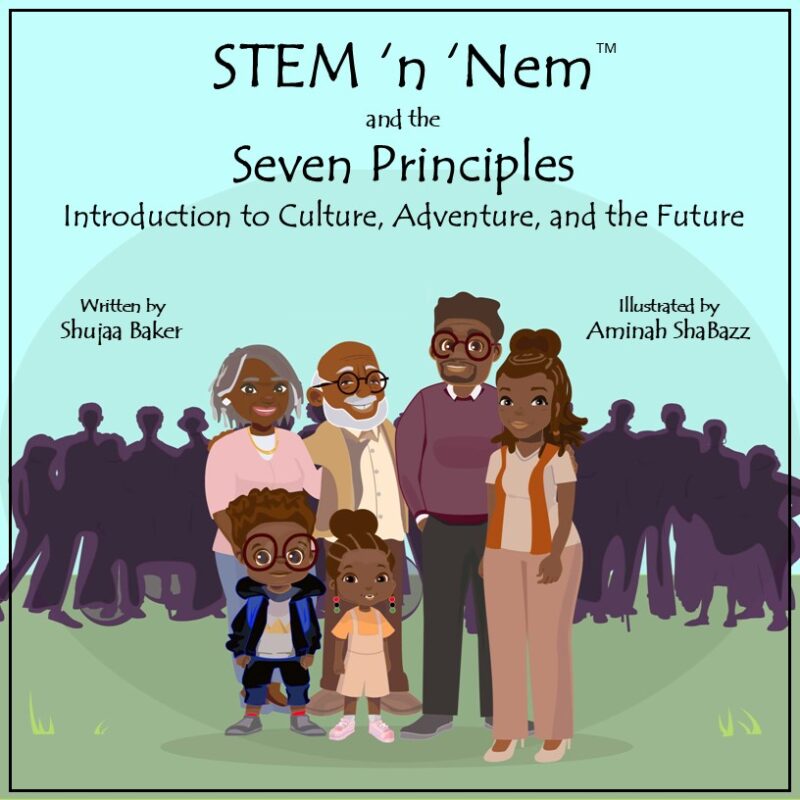 STEM 'n 'Nem™ and the Seven Principles: Introduction to Culture, Adventure, and the Future